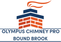 Olympus Chimney Pro